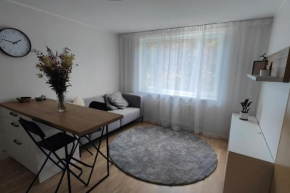 Cozy 2BR apartment in Neeme